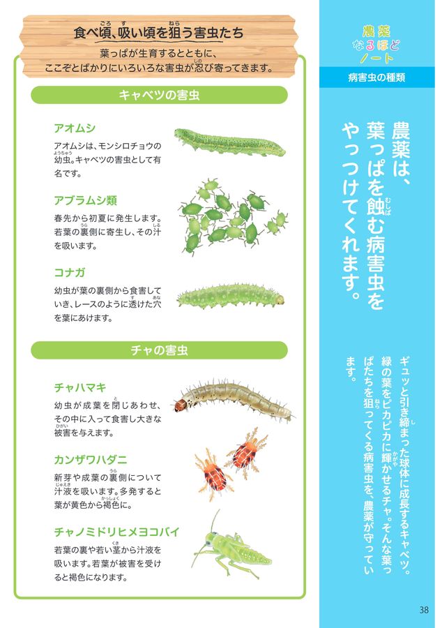 キャベツとチャをまもるはなし電子ブック