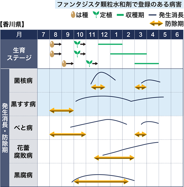 病害虫図鑑　スケジュール