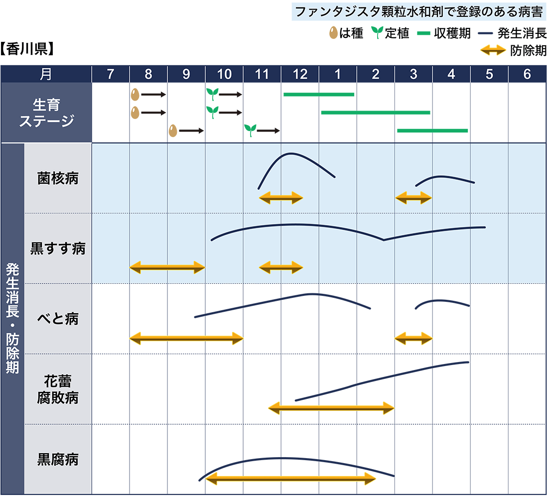 病害虫図鑑　スケジュール