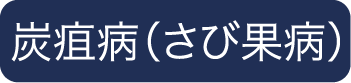 炭疽病（さび果病）