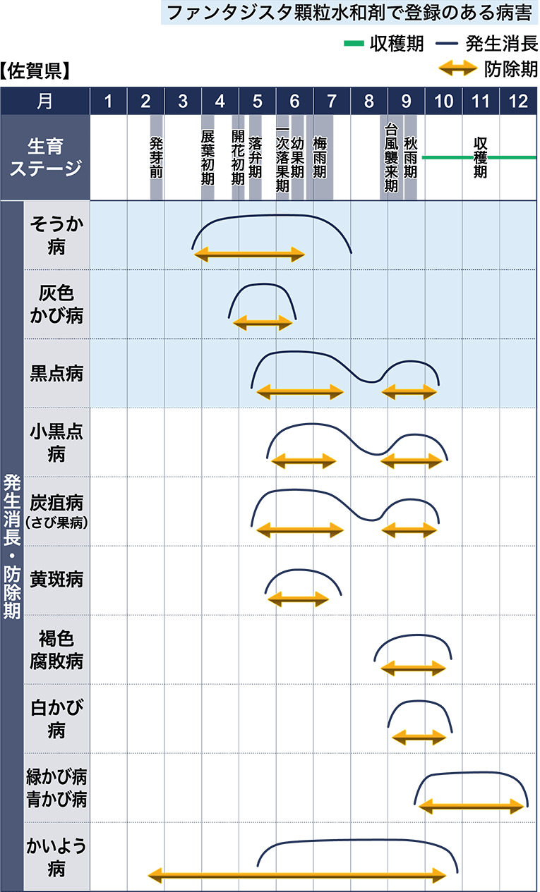 病害虫図鑑　スケジュール