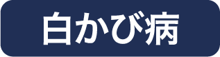 白かび病