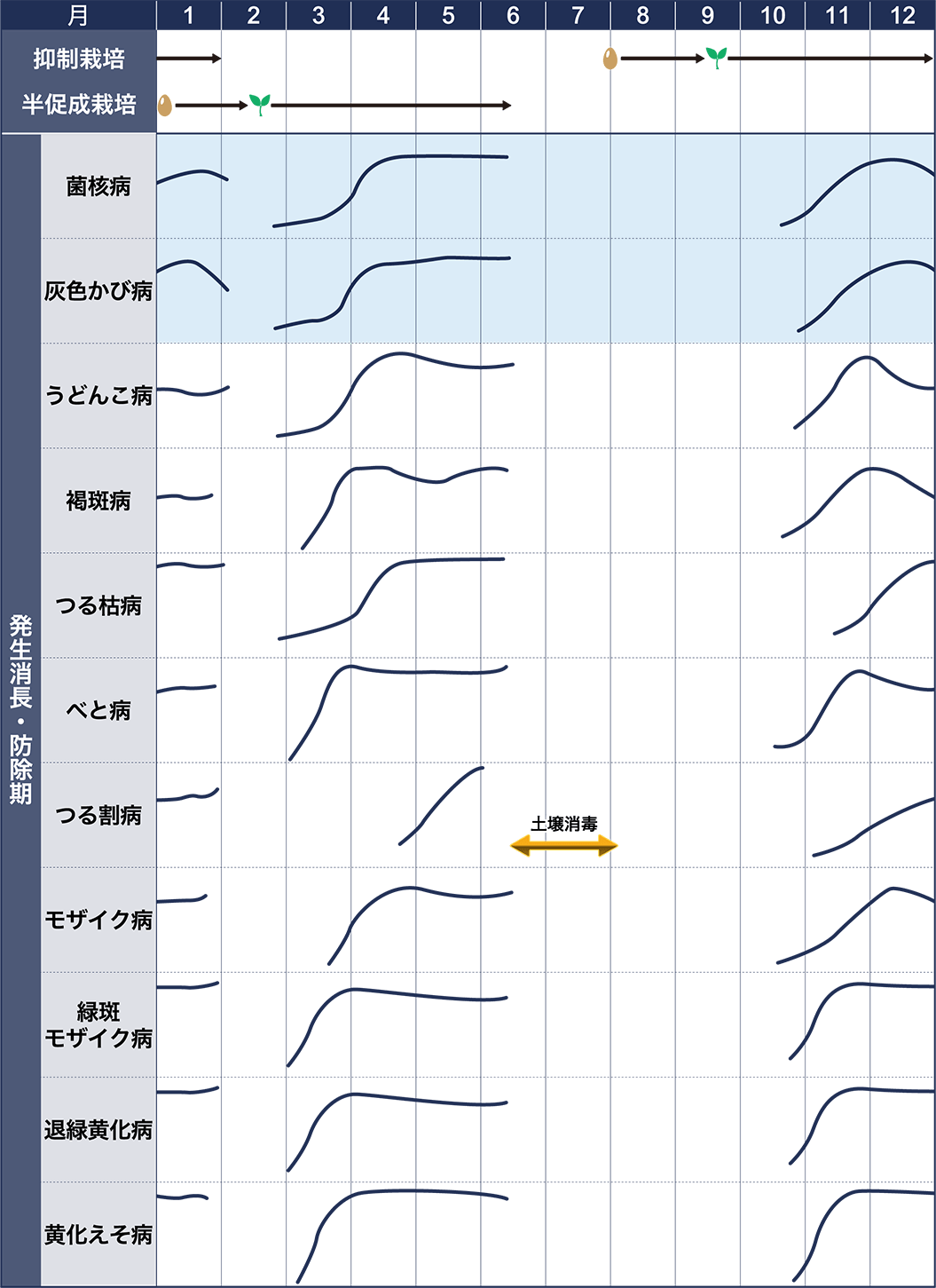 病害虫図鑑　スケジュール