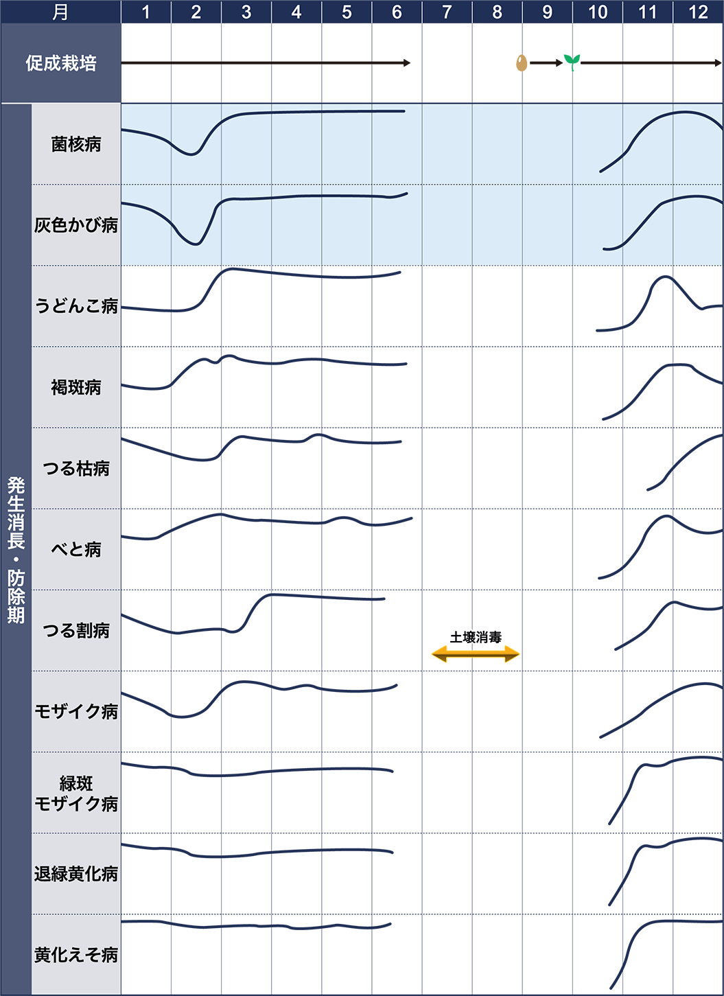 病害虫図鑑　スケジュール