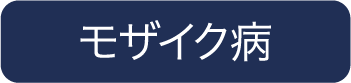 モザイク病