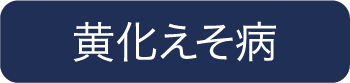 黄化えそ病