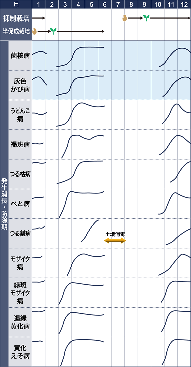 病害虫図鑑　スケジュール