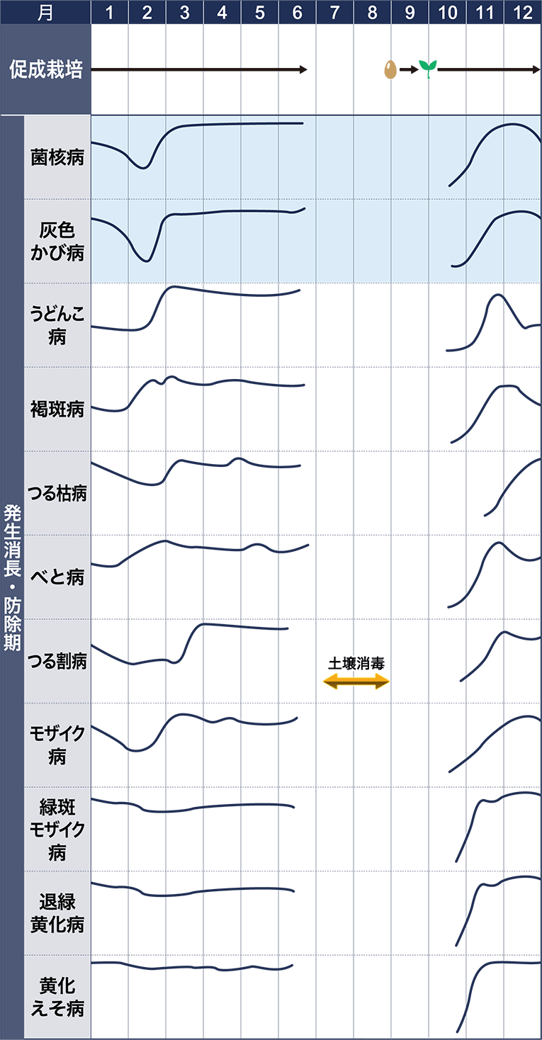 病害虫図鑑　スケジュール