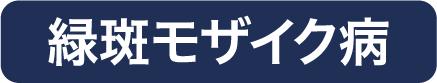 緑斑モザイク病