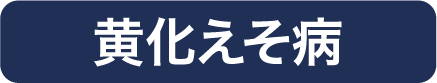 黄化えそ病