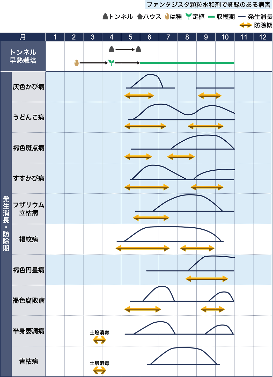 病害虫図鑑　スケジュール