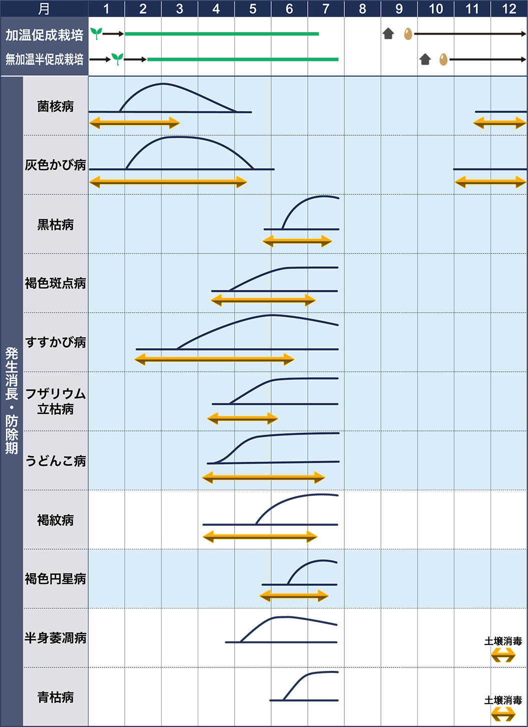 病害虫図鑑　スケジュール