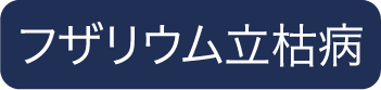 フザリウム立枯病