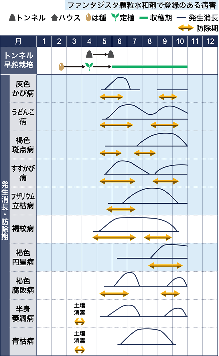 病害虫図鑑　スケジュール