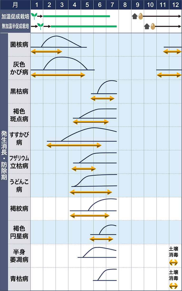 病害虫図鑑　スケジュール