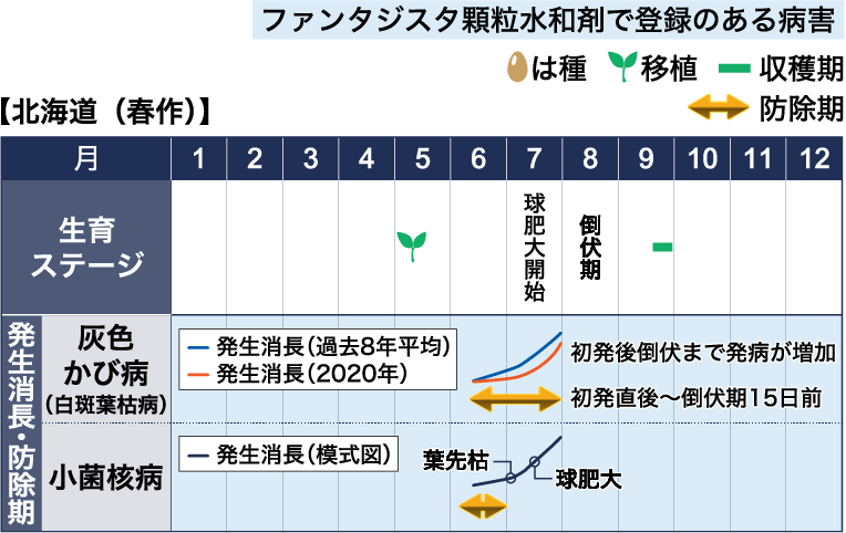 病害虫図鑑　スケジュール