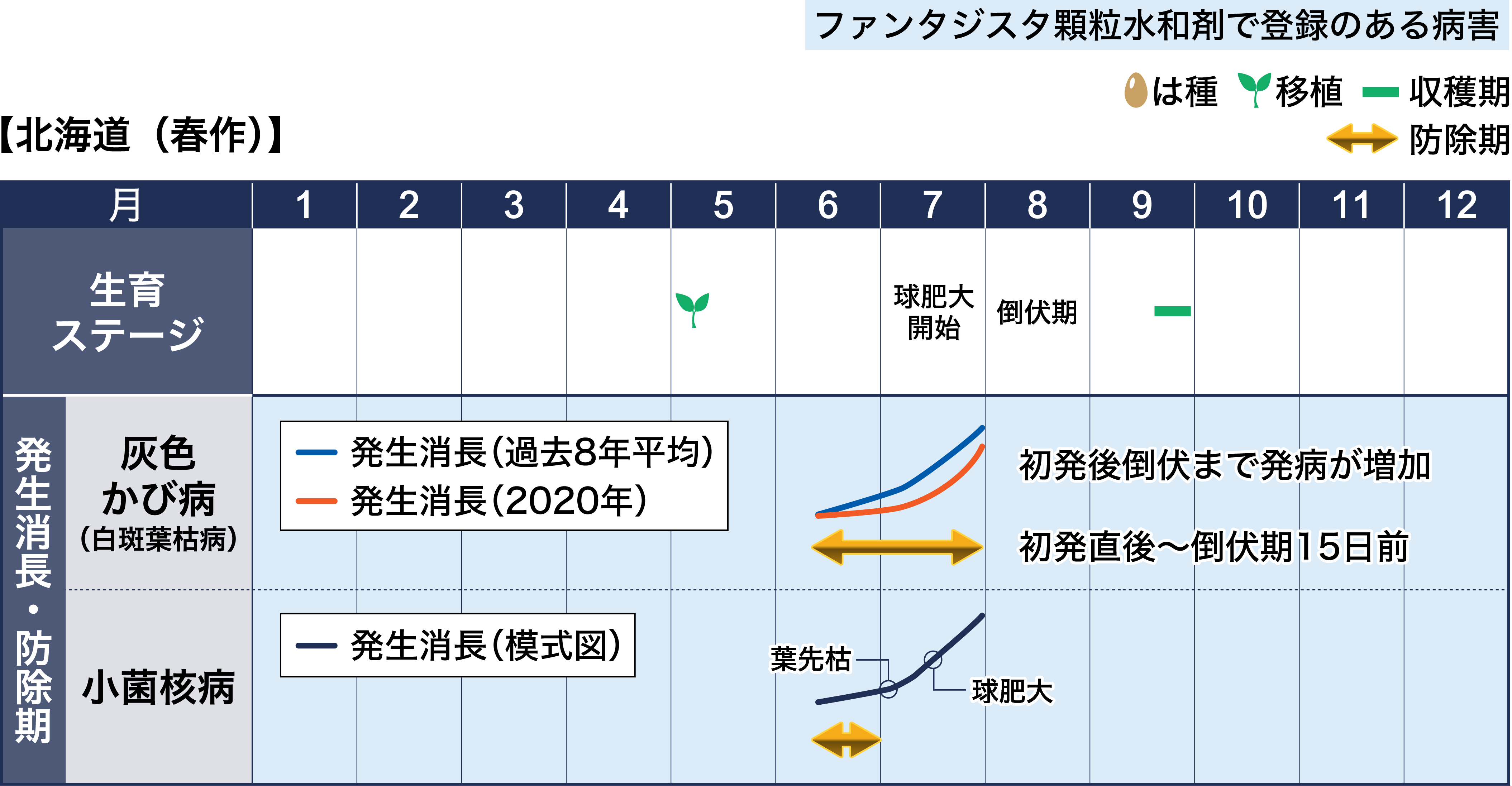 病害虫図鑑　スケジュール