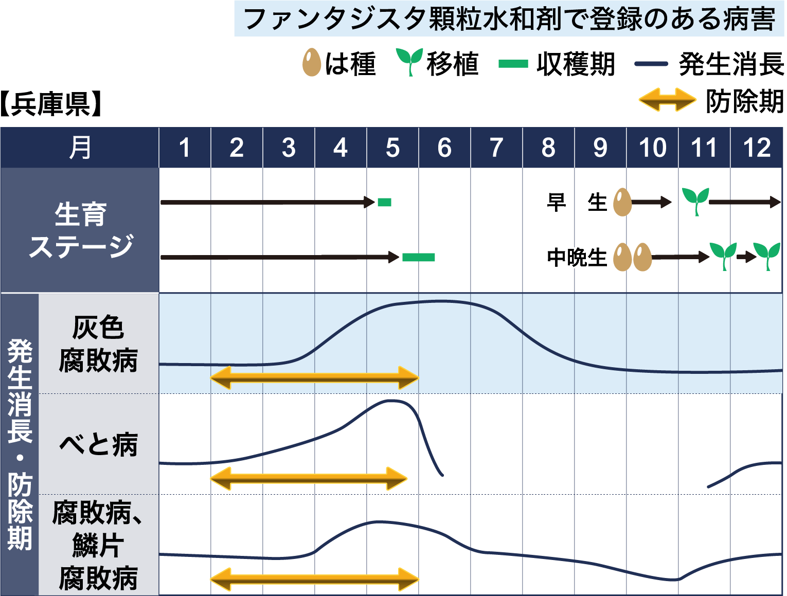 病害虫図鑑　スケジュール