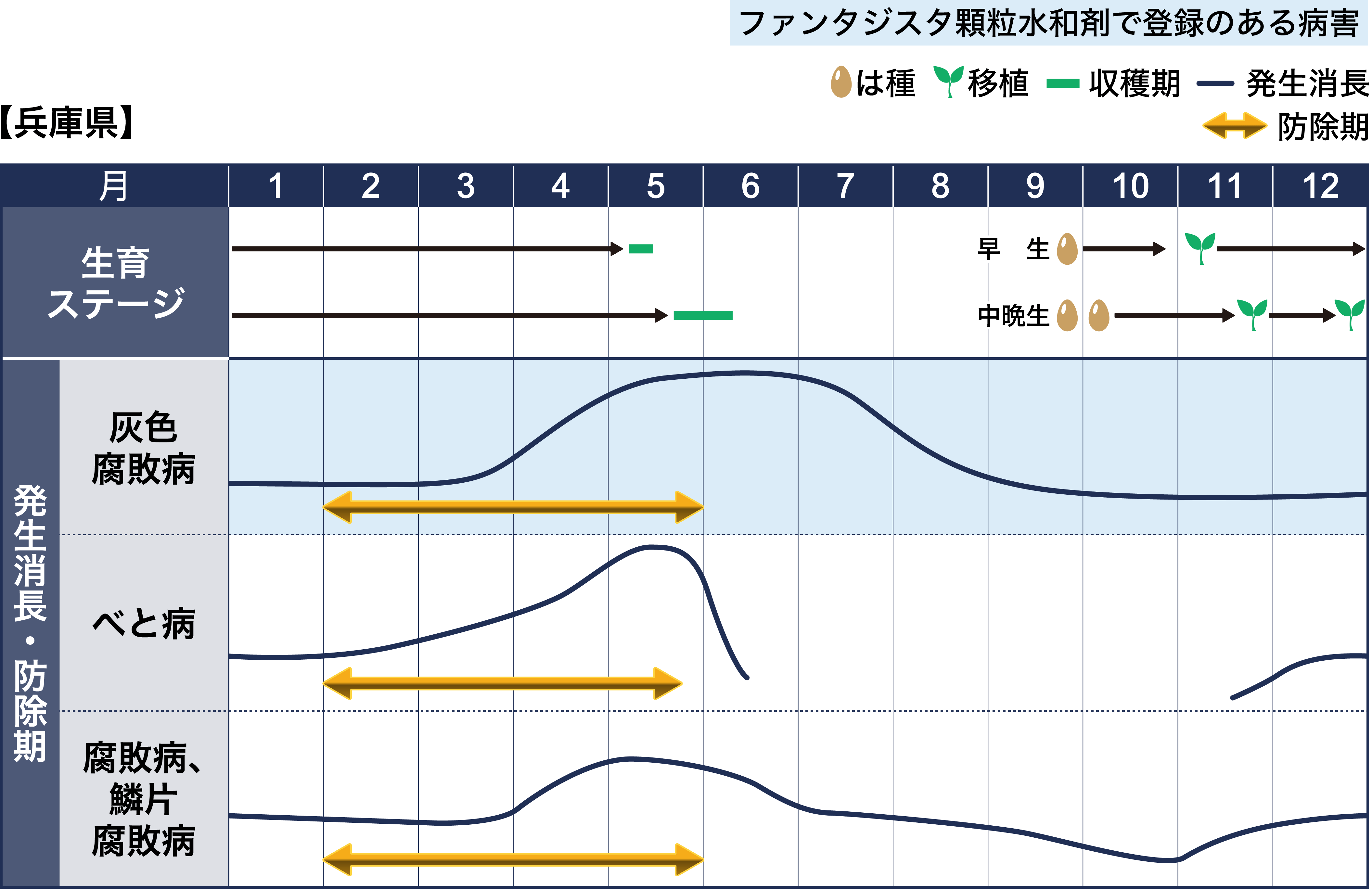 病害虫図鑑　スケジュール