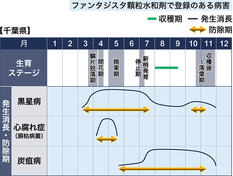 病害虫図鑑　スケジュール