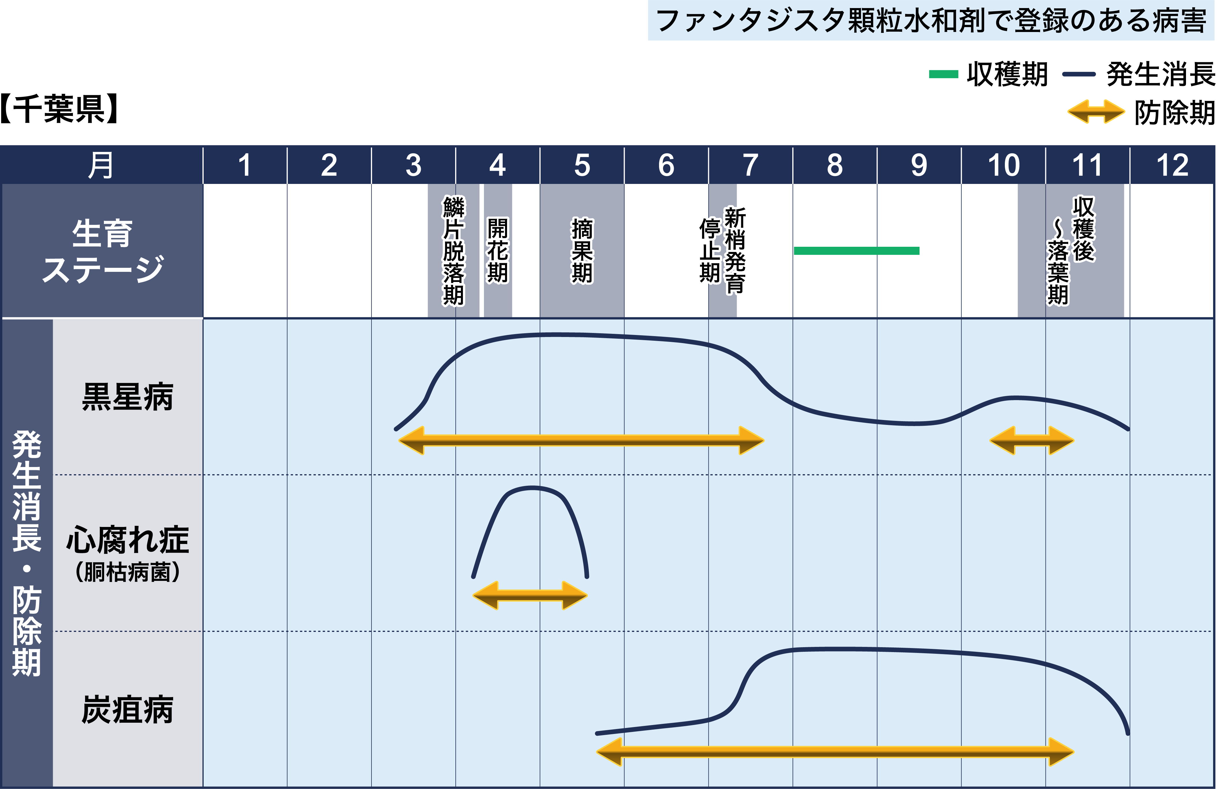 病害虫図鑑　スケジュール