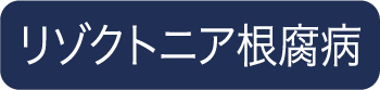 リゾクトニア根腐病