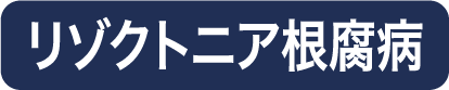 リゾクトニア根腐病