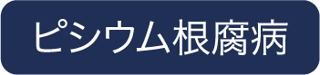 ピシウム根腐病