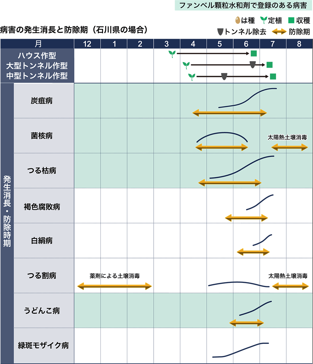 病害虫図鑑　スケジュール