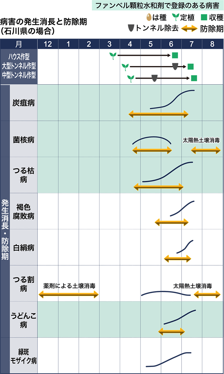 病害虫図鑑　スケジュール