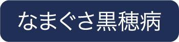 なまぐさ黒穂病