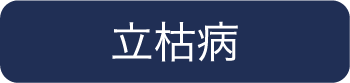 立枯病