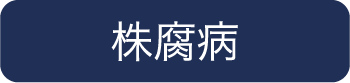 株腐病