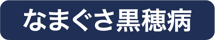 なまぐさ黒穂病