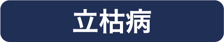 立枯病