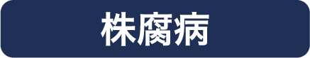 株腐病