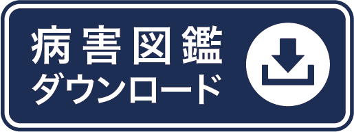 病害図鑑ダウンロード