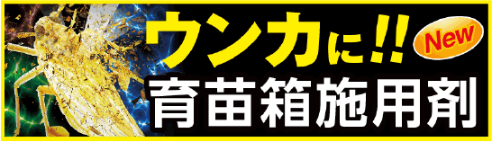 ウンカに育苗箱施用剤　ピラキサルト