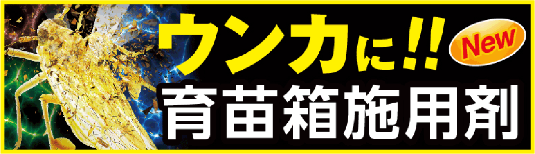 ウンカに育苗箱施用剤　ピラキサルト