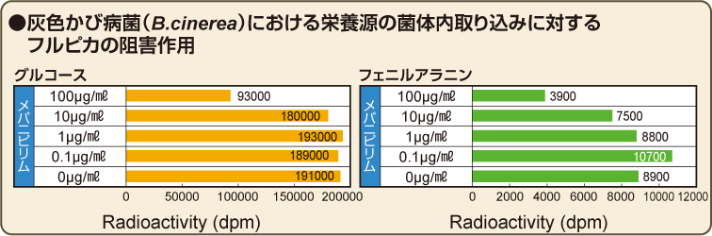 作用特性グラフ右の画像02