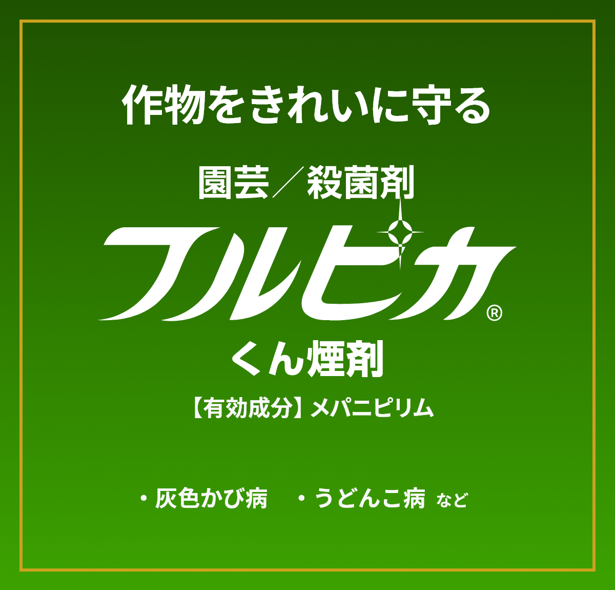 フルピカくん煙剤のバナーの画像01