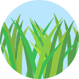 除草剤