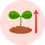 植物成長調整剤