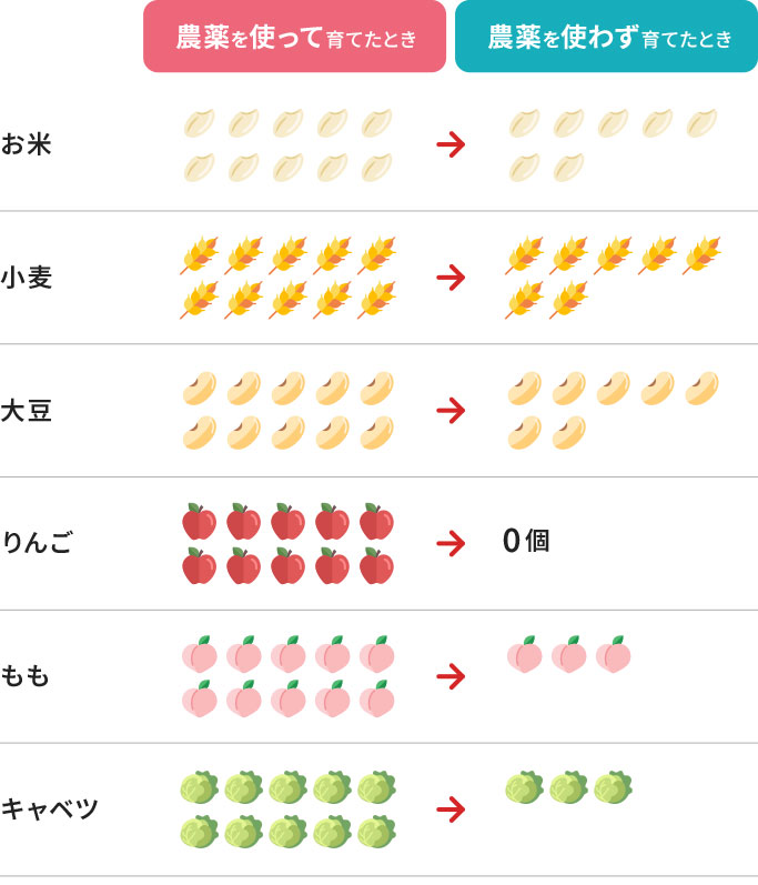 農薬使用有無による収穫量の差の図、お米、小麦、大豆、りんご、もも、キャベツ、いずれも農薬を使用した場合に比べて農薬を使用しない場合は収穫量が減る。りんごについては農薬を使用しない場合収穫できない。