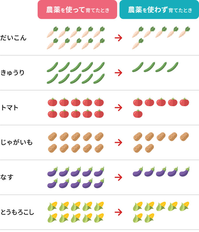 農薬使用有無による収穫量の差の図、だいこん、きゅうり、トマト、じゃがいも、なす、とうもろこし、いずれも農薬を使用した場合に比べて農薬を使用しない場合は収穫量が減る。