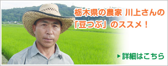 栃木県の農家 川上さんの「豆つぶ」のススメ！