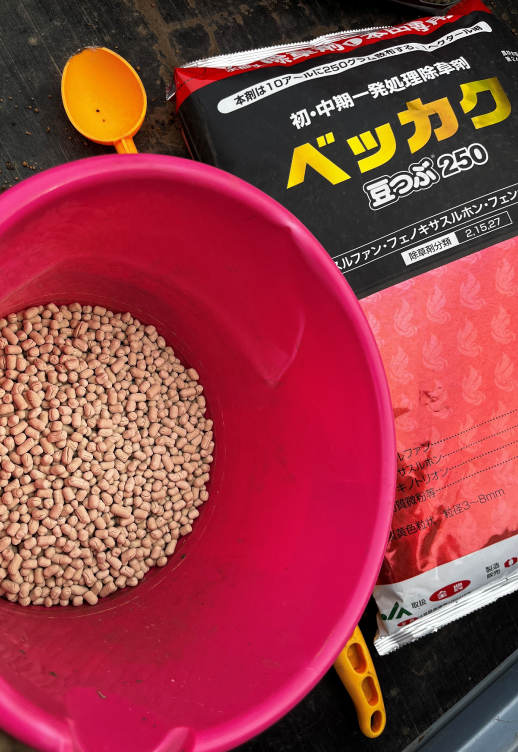 ベッカク豆つぶ２５０の写真