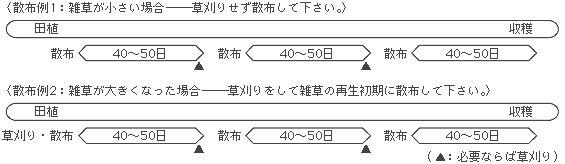 散布例