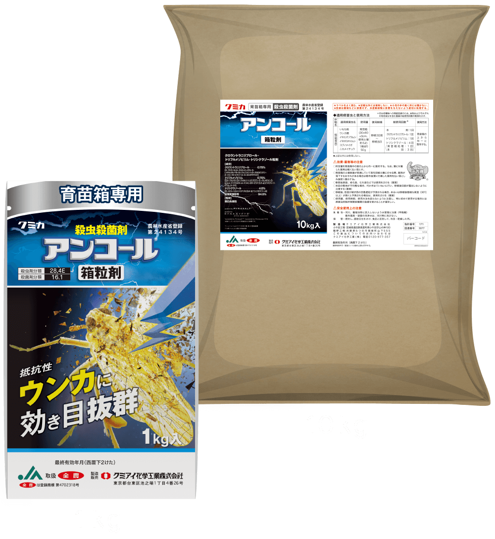 アンコール 1kg 10kg 製品