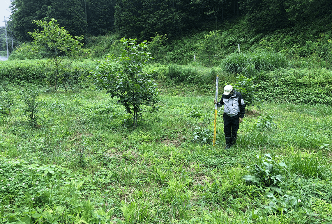 「里地・里山プロジェクト」の様子